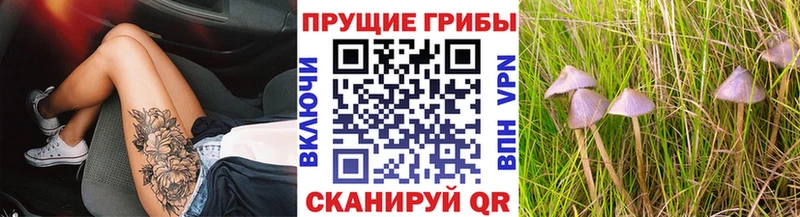 Галлюциногенные грибы ЛСД  Новоульяновск 